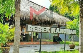 Franchise Bebek Kanoman